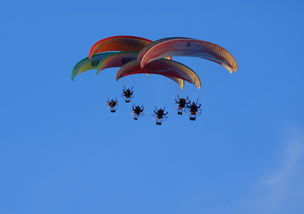 爱游戏在线登录入口-英超球队结合疲劳评分系统动态分配替补上场时机，英超伤病报告_球员受伤成本逐年攀升